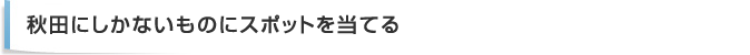 秋田にしかないものにスポットを当てる